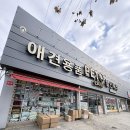 도약로 | [부천 강아지유모차] 펫랜드 유모차 시승 후기