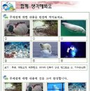 엑스포로 이미지
