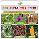 뒤웅박광고 이미지
