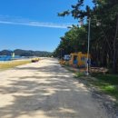 장호초교 이미지