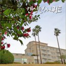 펀스테이션 | 제주 켄싱턴리조트 서귀포 제주도 가족 숙소 추천 켄싱턴 서귀포