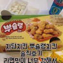 자담치킨 | 자담치킨 뿌슐랭치킨 솔직후기, 별로다