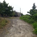 강정동-9 이미지