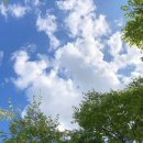 석관시장 이미지