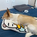 몽크네 이발관 이미지