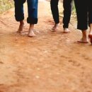 맨발 걷기만 해도 병 낫는다! 암·류마티스·고혈압까지 정복한 기적 이미지