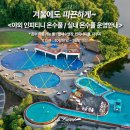 에코랜드수영장 수영장 이미지