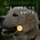 서울애견 이미지