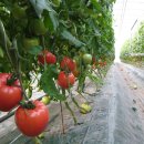 신북농협 이미지