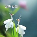 여학생의 한마디 이미지