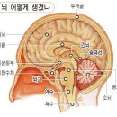 노인의 치매 癡呆 해마이야기 이미지