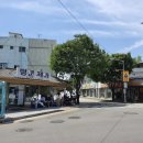 얌샘김밥 도통점 이미지