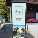 Aqua Gallery STAY x ADA 컬렉션 전시 방문 후기