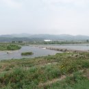 금호강식당