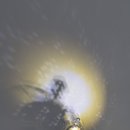 청경기업노동조합 이미지