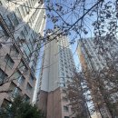 남정초등학교 정문 이미지