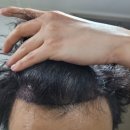 강남로미모의원 이미지