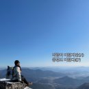 운문령 | [울산 울주군] 영남알프스 7봉: 가지산 등산코스 운문령코스 최단코스랑 차이 쌀바위 대피소 주차장 등...