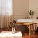 폼폼애견 이미지