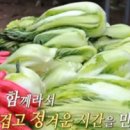 형제식당 이미지
