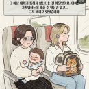 만석 KTX에서 고양이 자리 끊고 유세떠는 여자 이미지