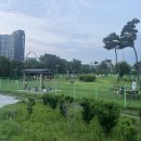 도솔광장 잔디광장 | 천안 신부동 대형견 놀이터 무료 이용 후기 "도솔공원 반려견 운동장 추천"