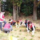 아주동 주민센터 이미지