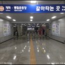 노량진역(3) 이미지