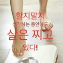 바바 점핑 다이어트