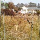 상궁농장 이미지