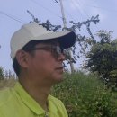 버들낚시터 이미지