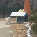 둥이농장 이미지