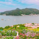 25.06.15.일~고흥 쑥섬 (수국) 이미지