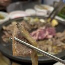 명지 장수오리 이미지