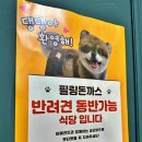 청사로돈까스 이미지