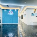 스카이 애견 이미지