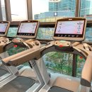 도미디 피트니스 이미지