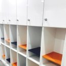 월드키즈수영장 이미지