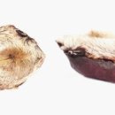 스마일한의원 이미지