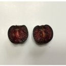 푸르매농장 이미지