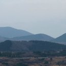 선흘리에