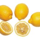 씨트루스 이미지