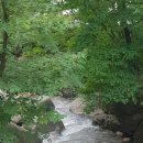 곡성-272 이미지