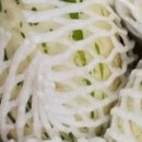 선이네농장 | 생생정보통 미스터리 함안 가야 백자 메론 멜론 택배 주문 가격 파는곳 선이네멜론