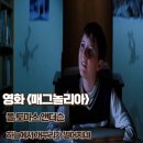매그놀리아 영화 후기 하늘에서 개구리가 떨어지네 줄거리 결말