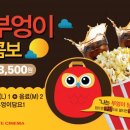 부엉이샵 이미지