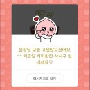베리굿투어 이미지