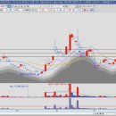 조선바이오메카닉스 이미지