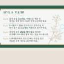 디자인태그 이미지