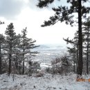 한마음(125) 이미지